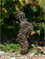 pieds de vignes_05